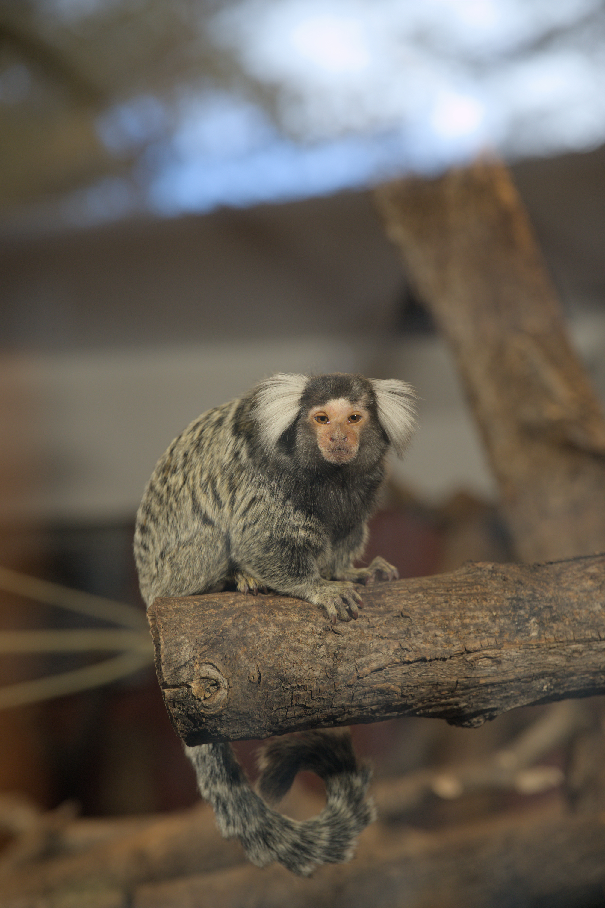 2025/10/12 - zoo/DSC_0103.jpg